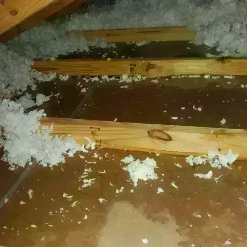 Attic Water Damage in Dardanelle, AR