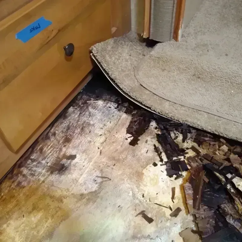 Wood Floor Water Damage in Dardanelle, AR